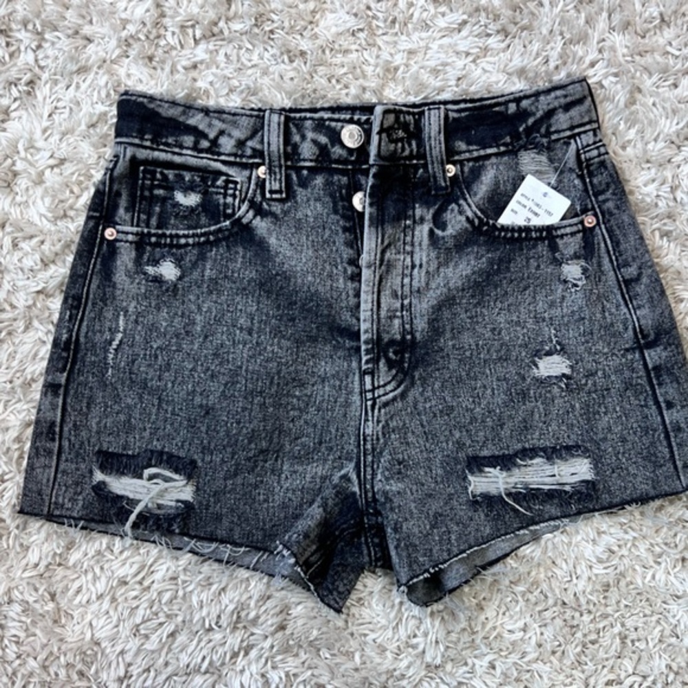 NWT AGOLDE Parker Vintage Cut Off Shorts - Crash